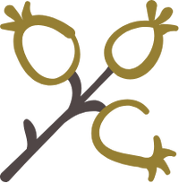 proprietary image icon